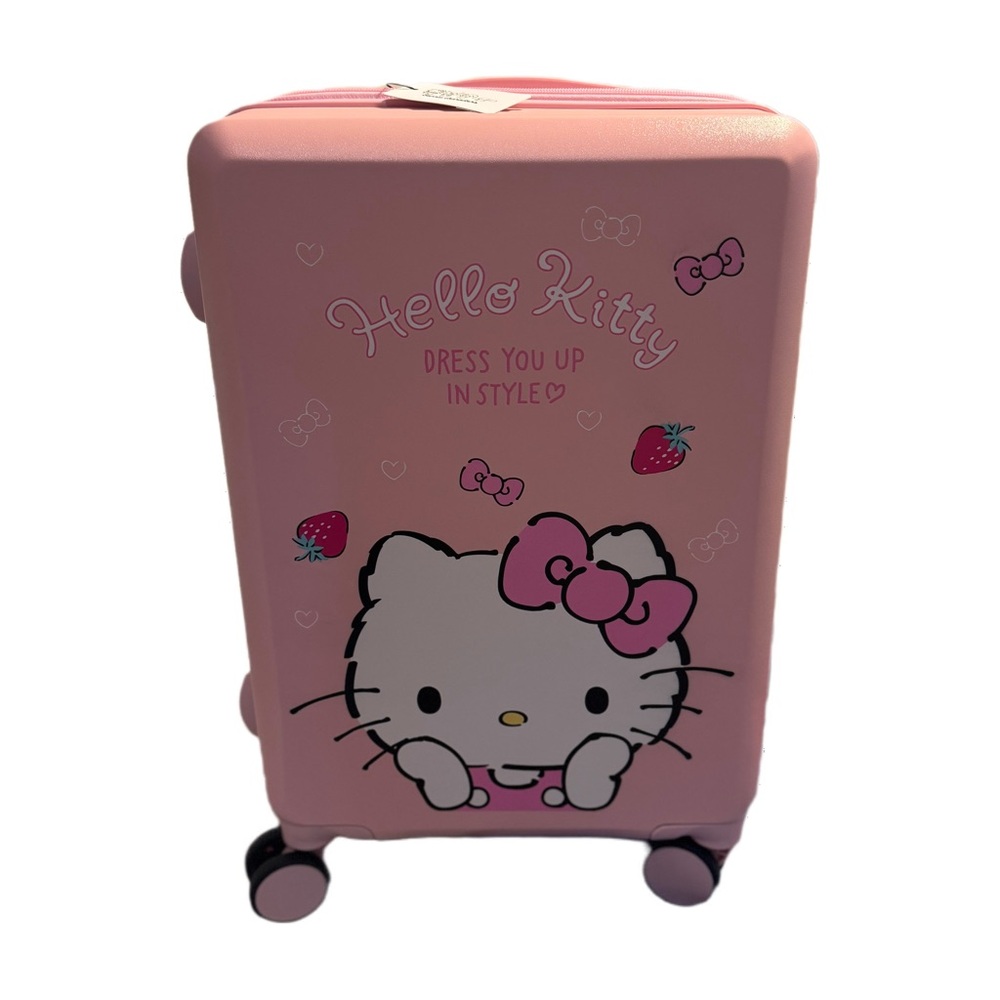 Sanrio carry on luggage.